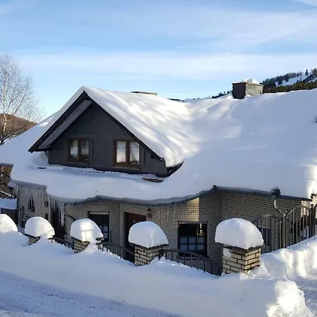 Haus Vor Den Eichen Fuer Familien * Willingen (Upland)